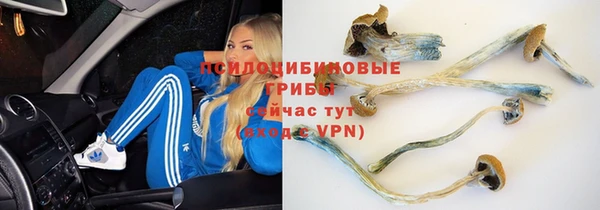 мяу мяу кристалл Краснотурьинск