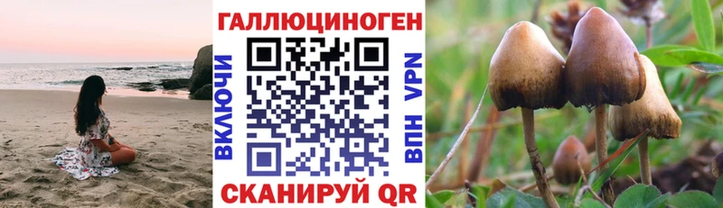 Галлюциногенные грибы мухоморы Буйнакск