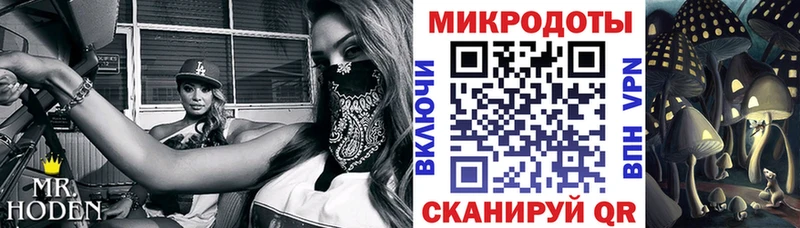 Купить  Буйнакск  Псилоцибиновые грибы GOLDEN TEACHER 